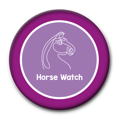 Horse watch